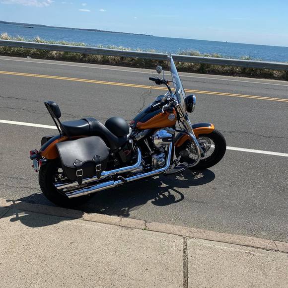 Meet your Posher, Ralph - Picture 1 of 1